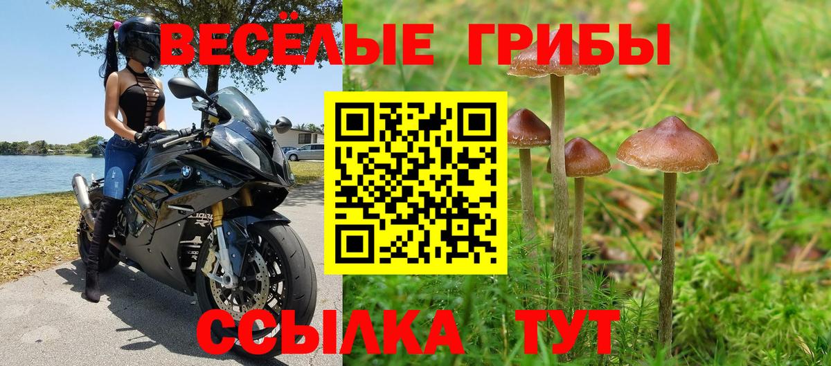 Ишимбай  сколько стоит  Псилоцибиновые грибы мицелий  Вход с VPN  Галлюциногенные грибы мухоморы 