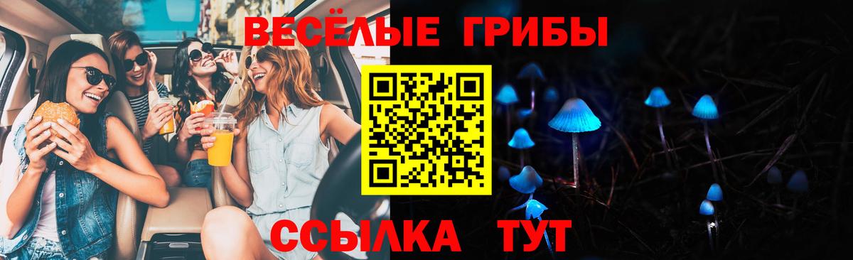 Псилоцибиновые грибы GOLDEN TEACHER Ишимбай